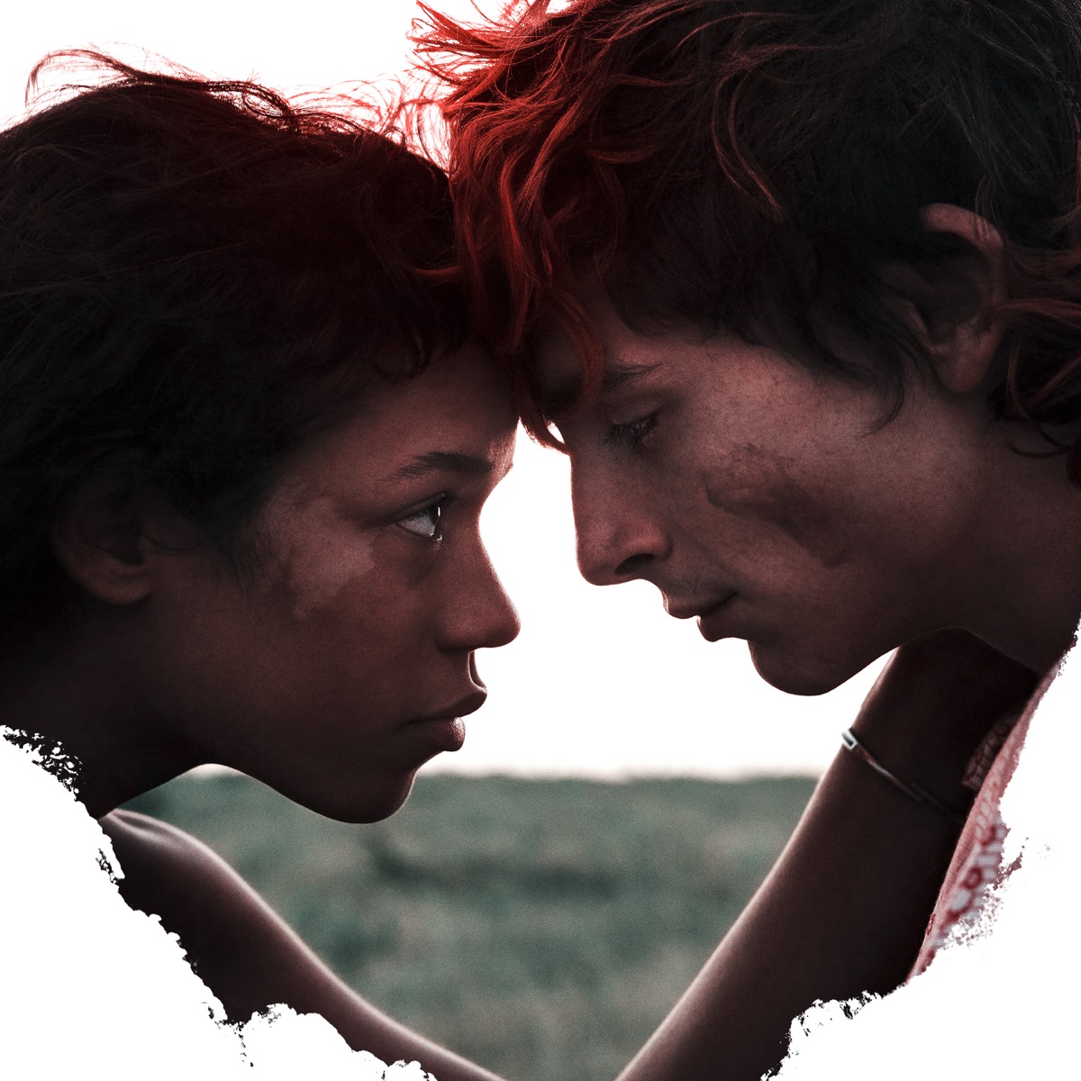Bones and All score cover artwork